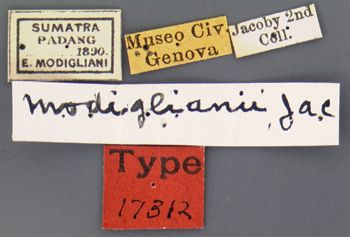 Media type: image; Entomology 17312   Aspect: labels